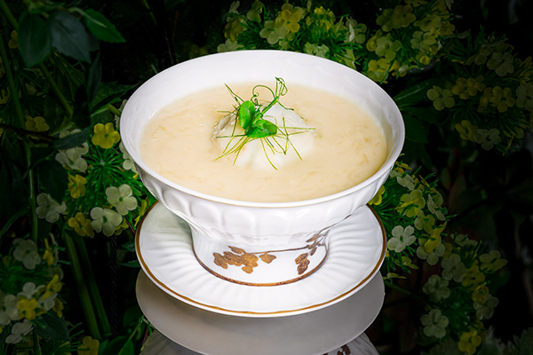 Hot and Sour Fish Bisque with Imperial Bird's Nest